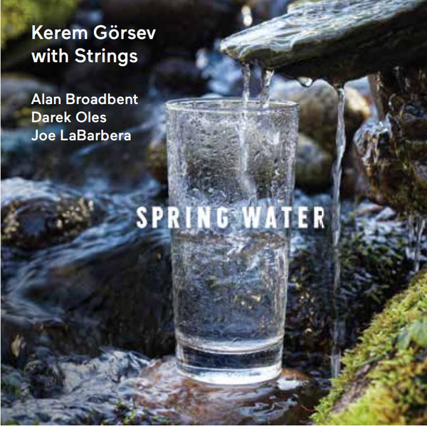 Spring Water (Kerem Görsev With Strings)