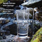 Spring Water (Kerem Görsev With Strings)